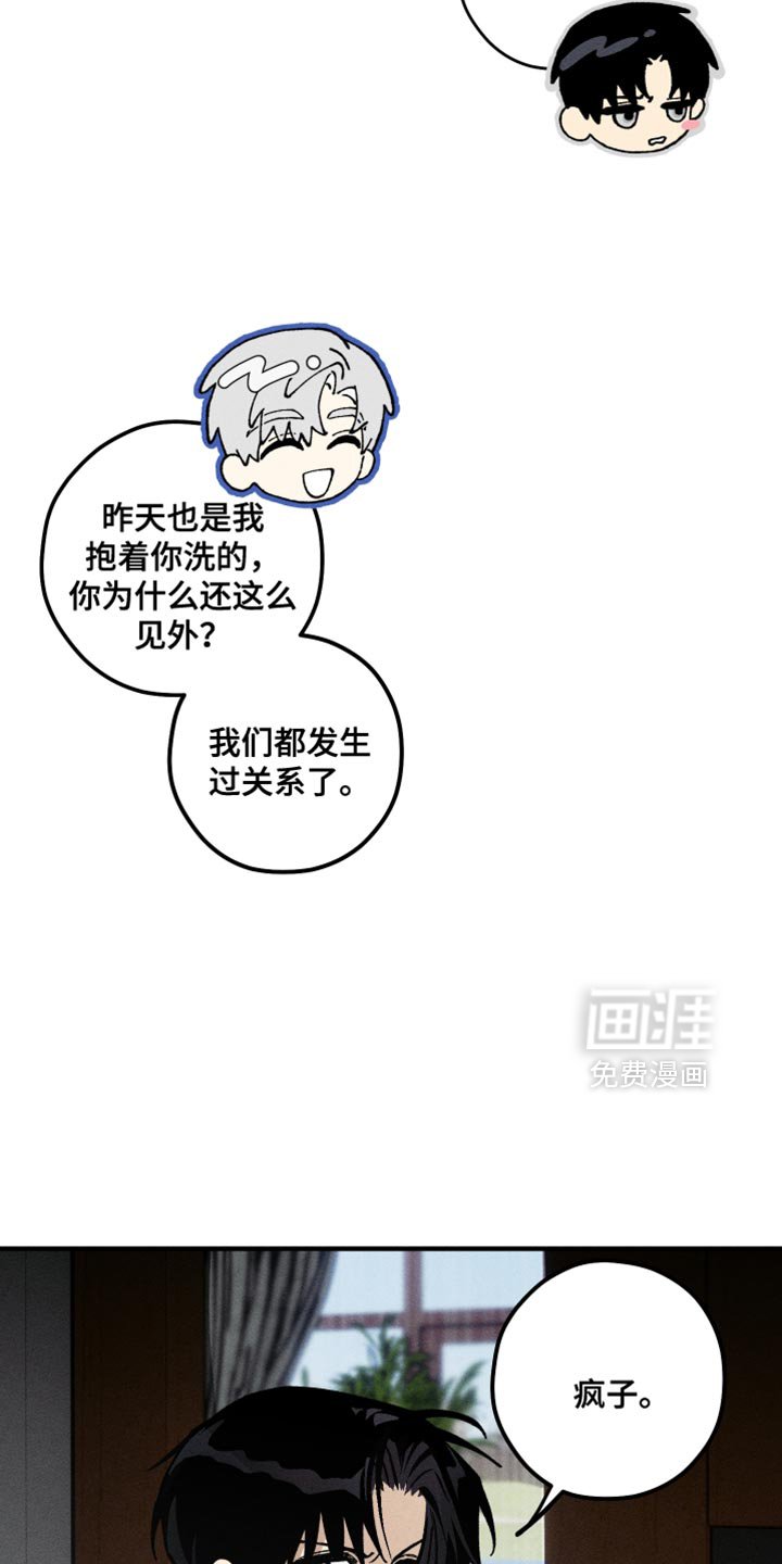 第13章：错觉