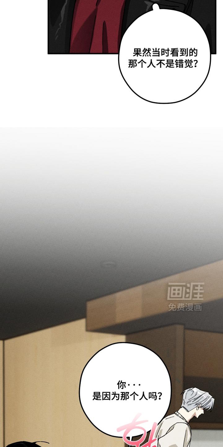 第23章：不理解