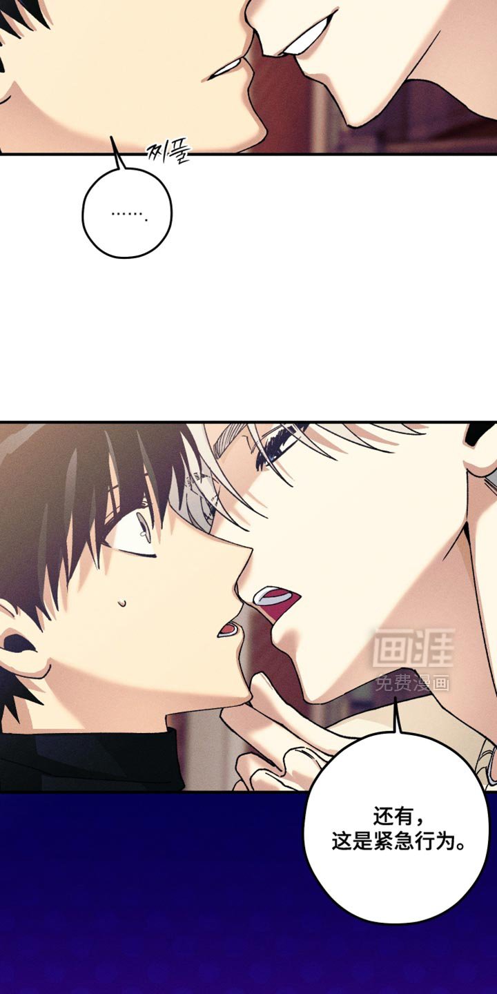 第25章：替代品