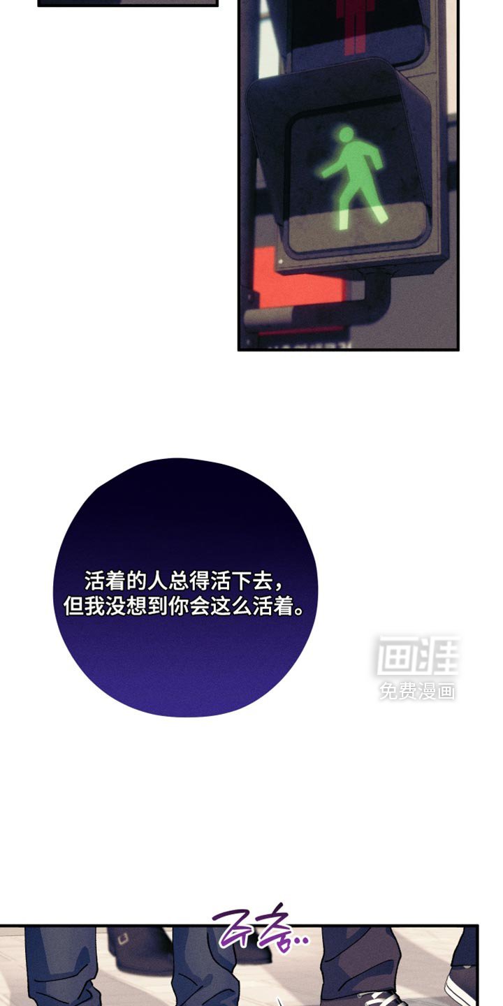 第25章：替代品