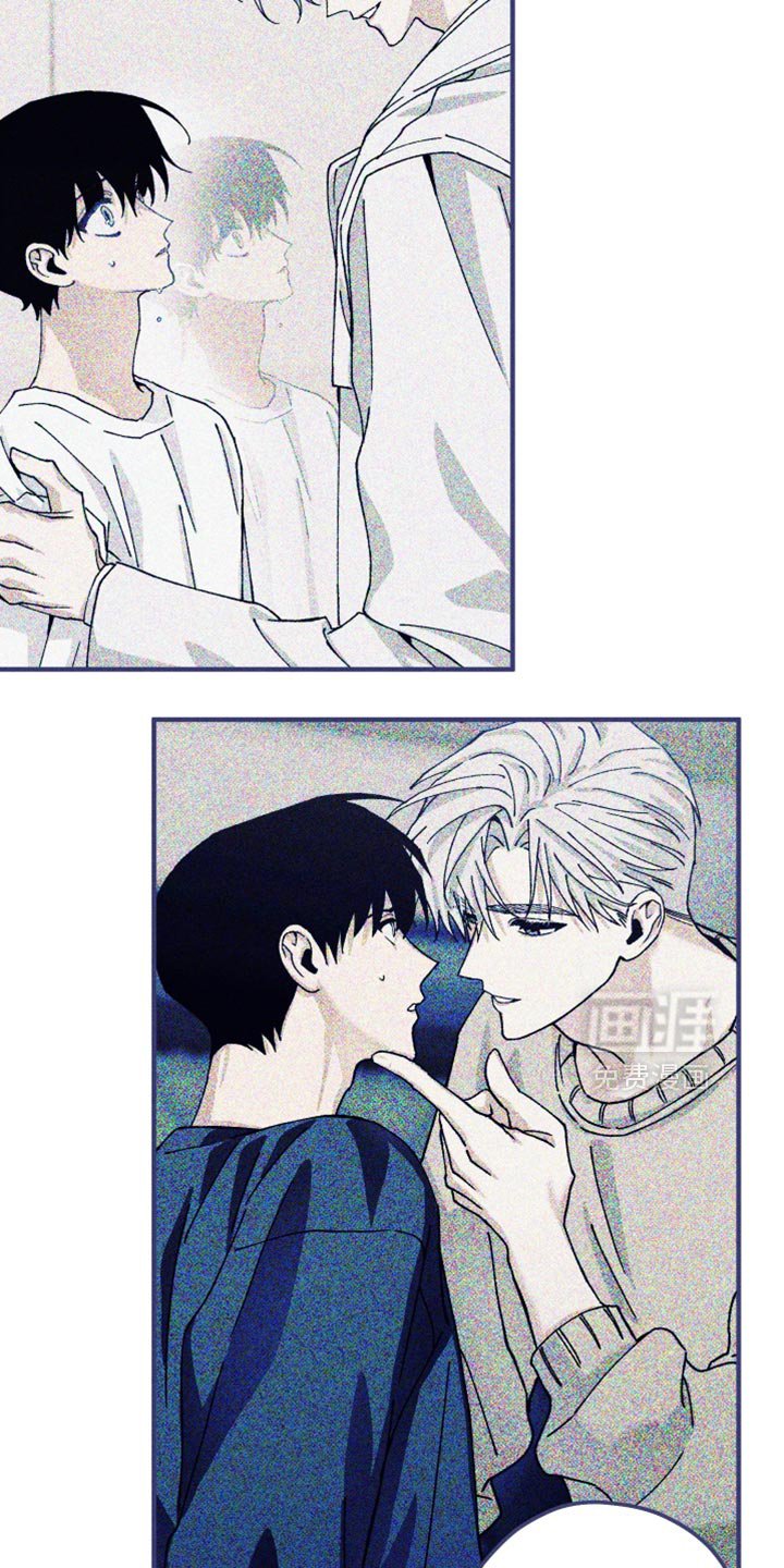 第25章：替代品