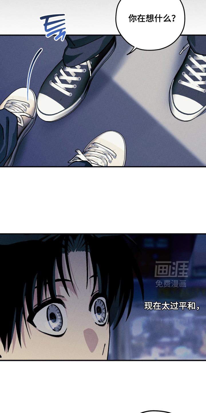 第28章：这次一定要成功