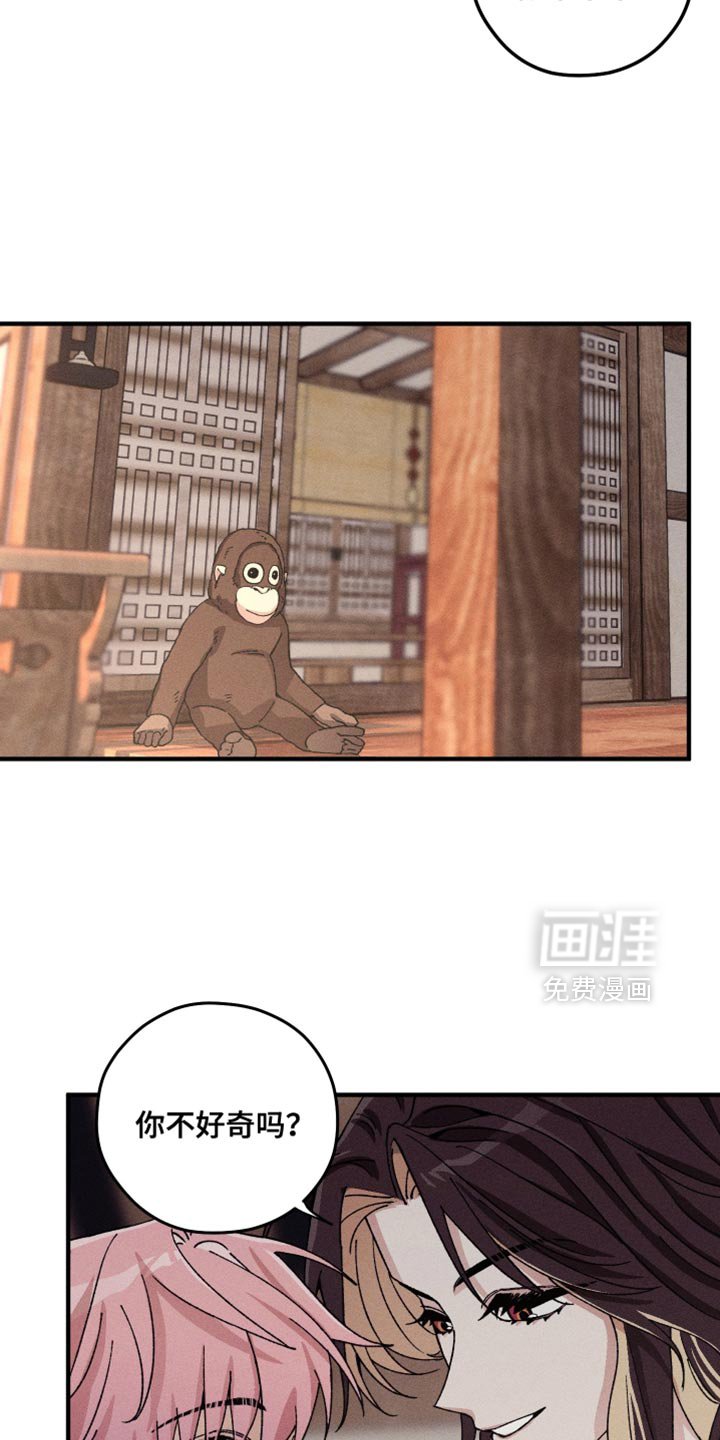 第29章：会做出怎样的选择