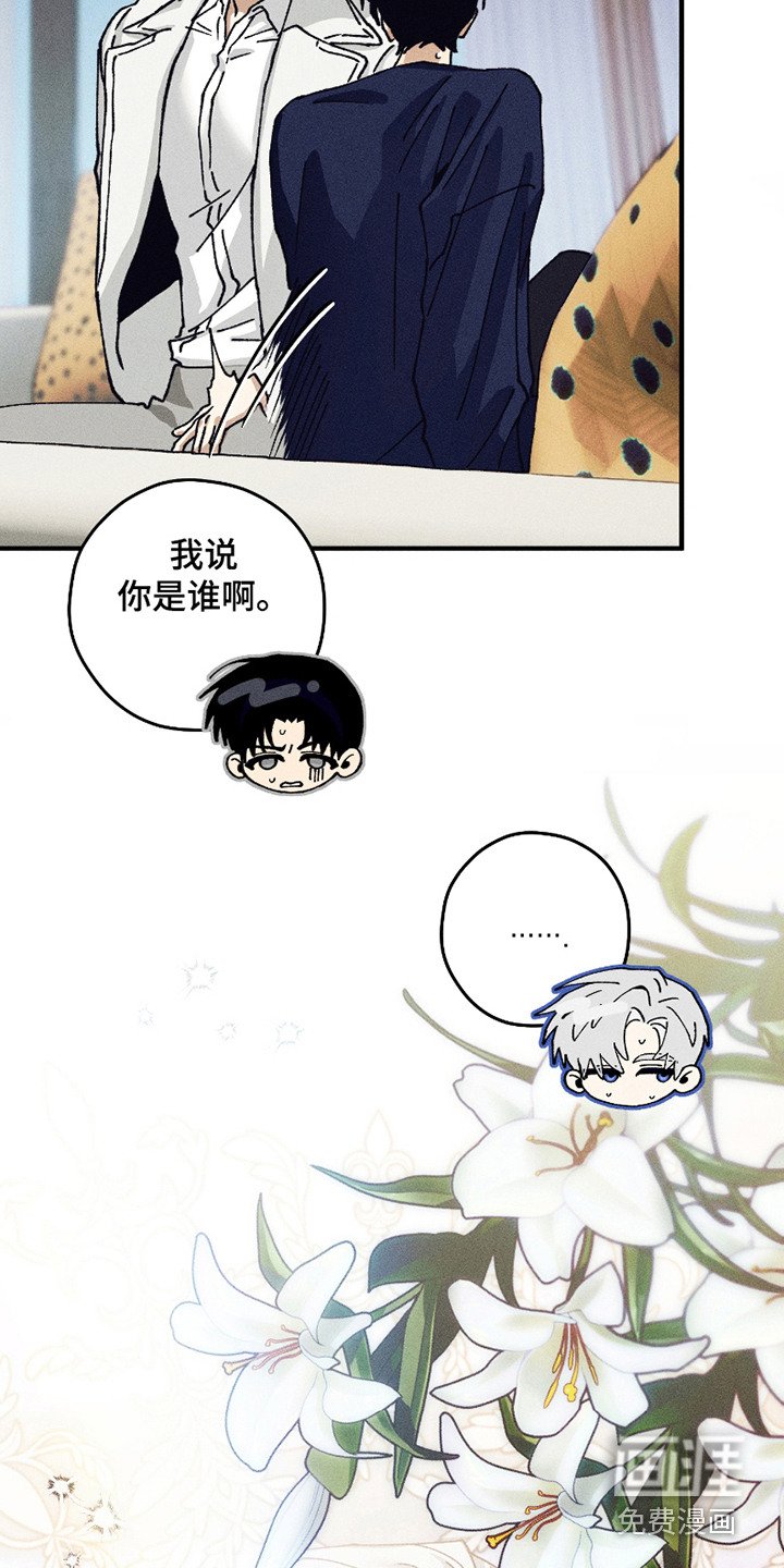 第3章：守护天使