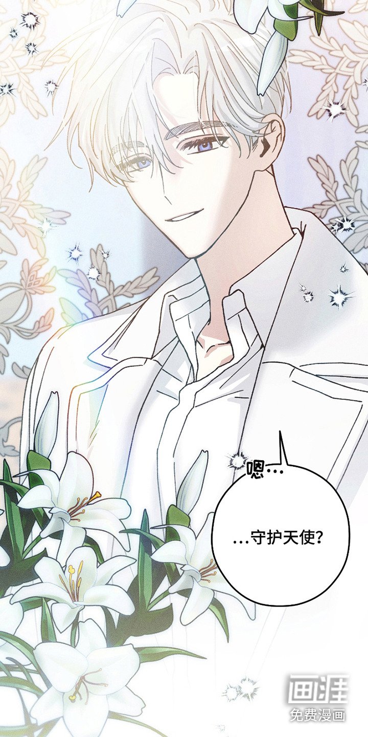 第3章：守护天使