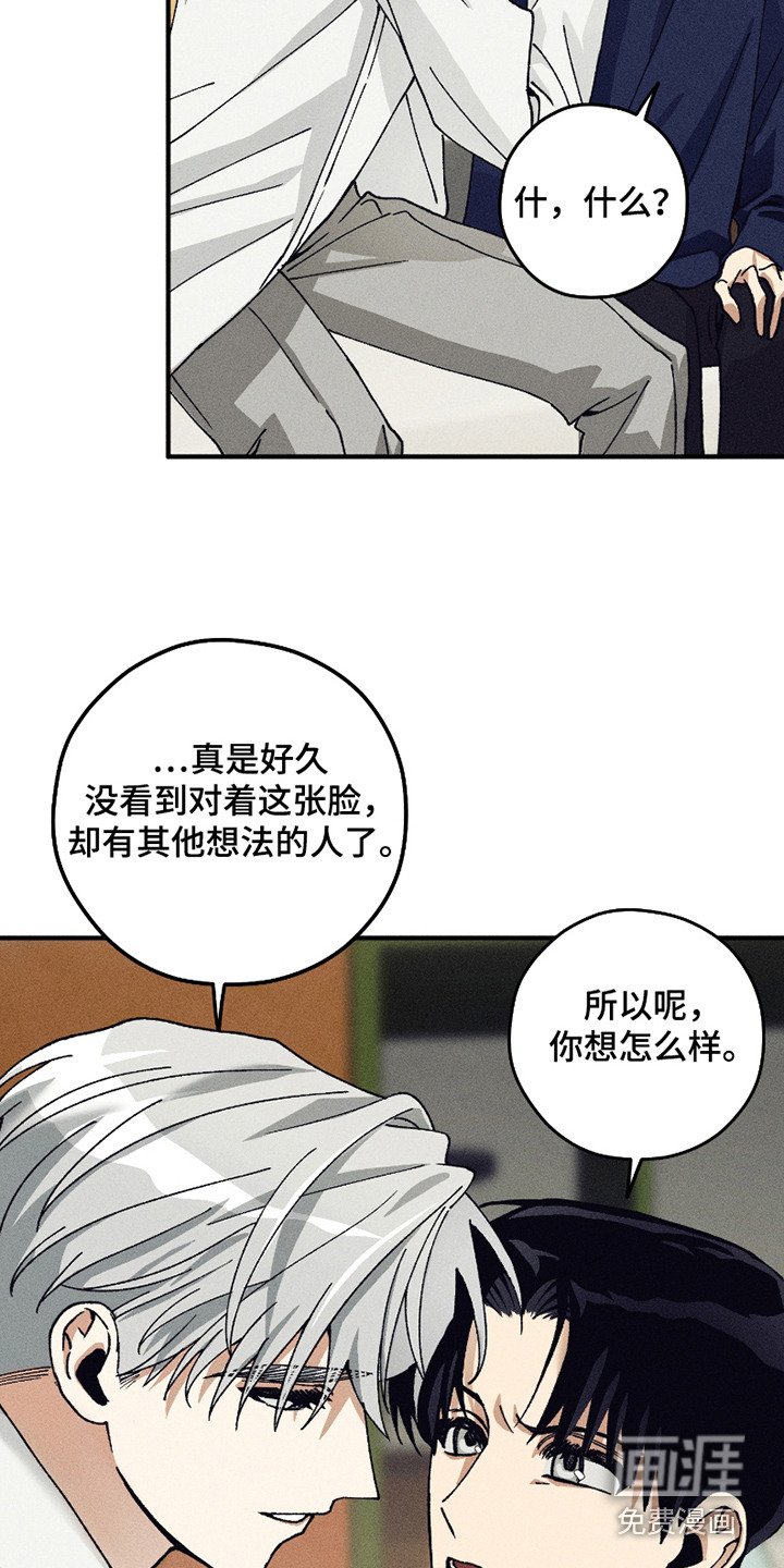 第5章：我行我素