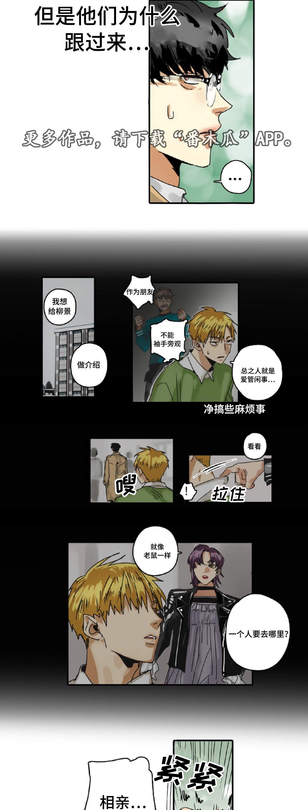 第14章：相亲
