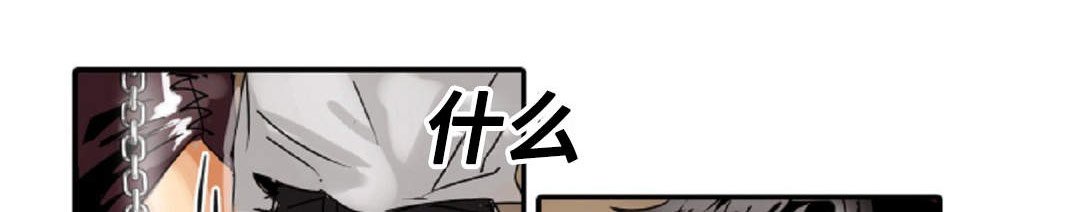 第16章：原则