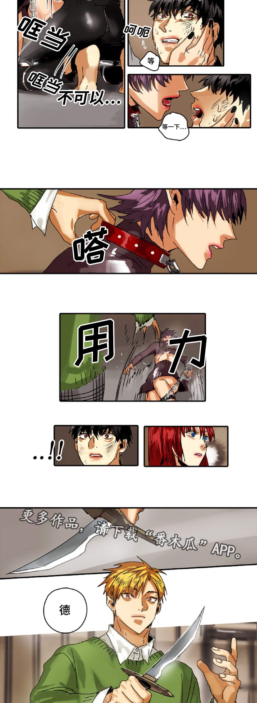 第16章：原则