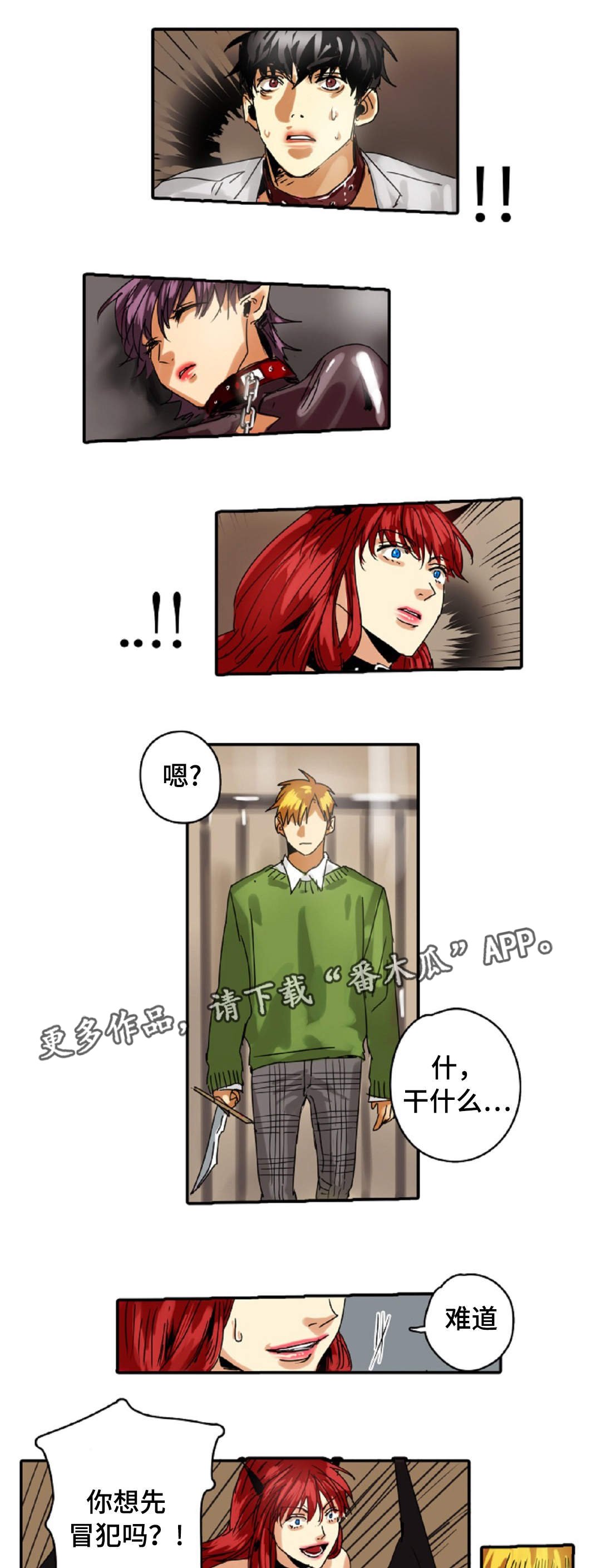 第16章：原则