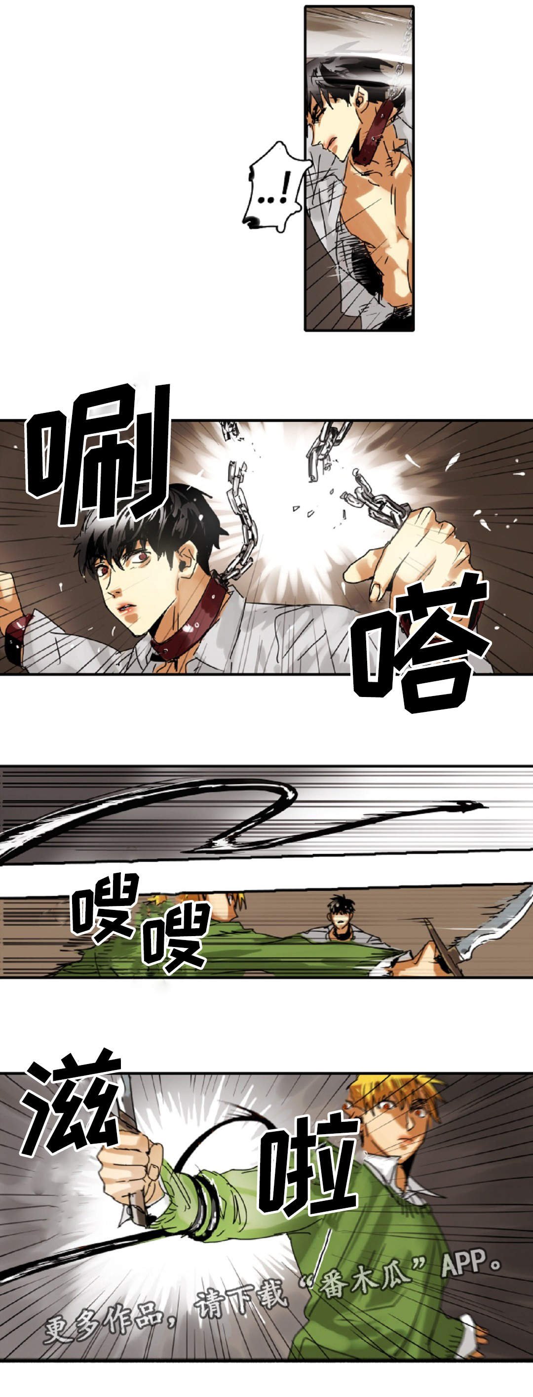 第16章：原则