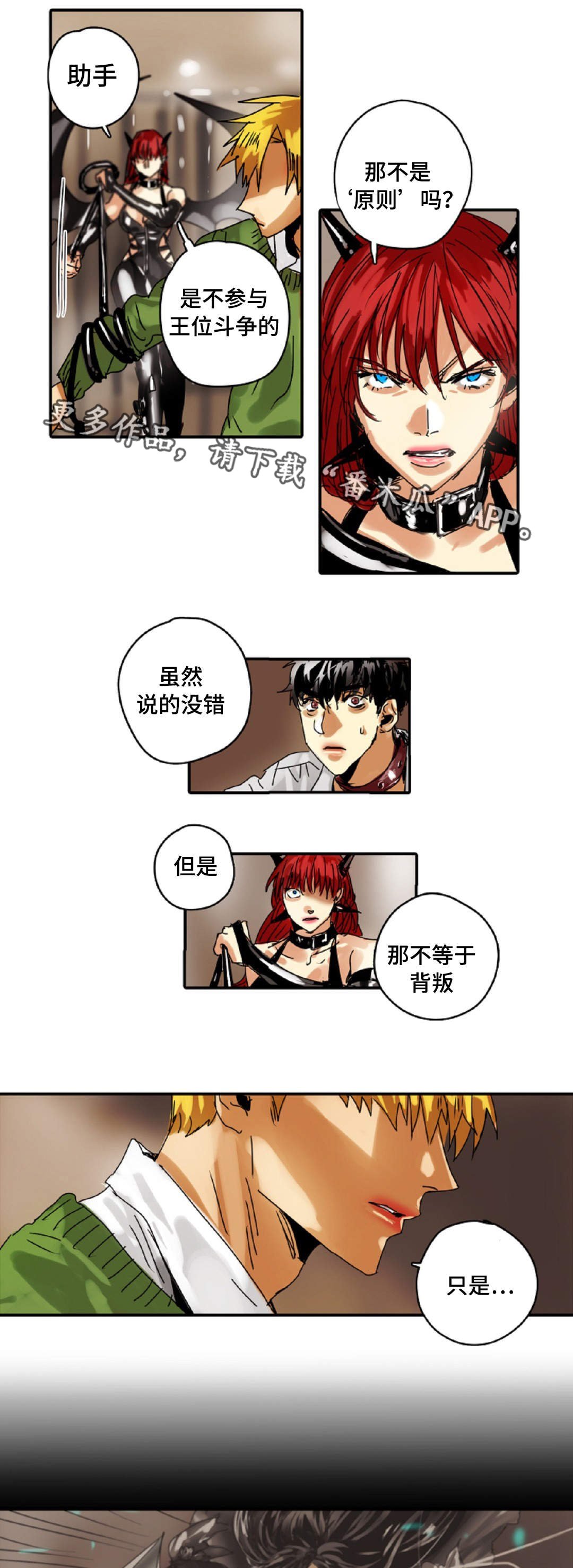 第16章：原则