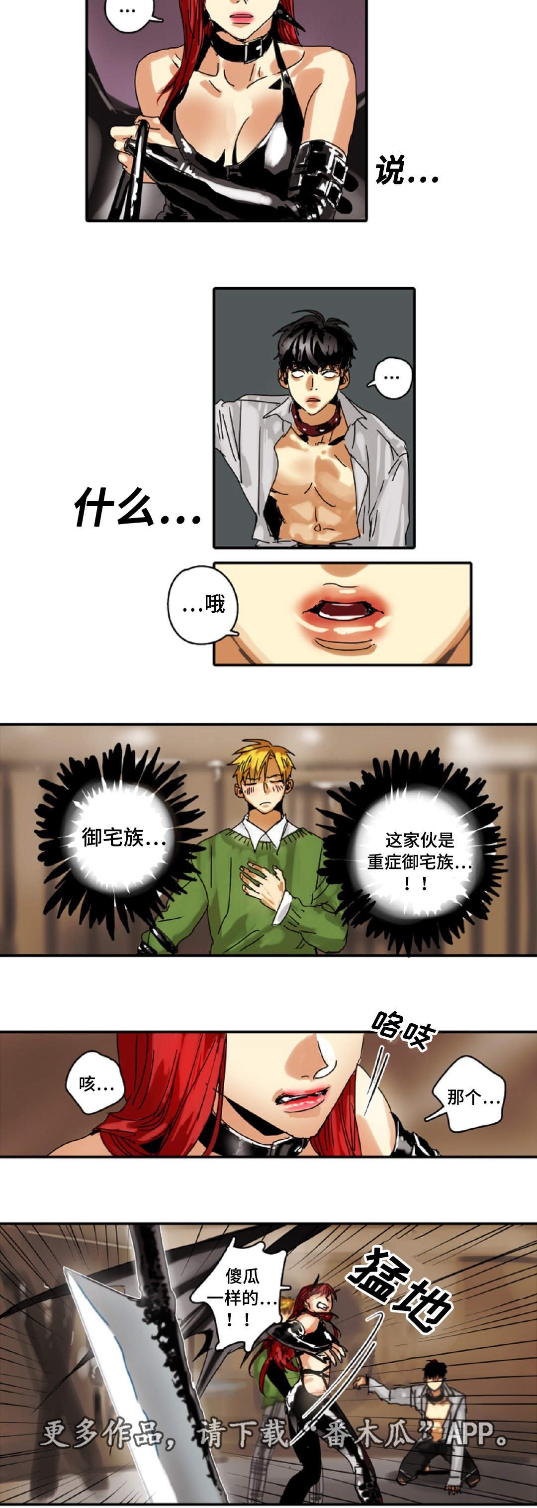 第16章：原则