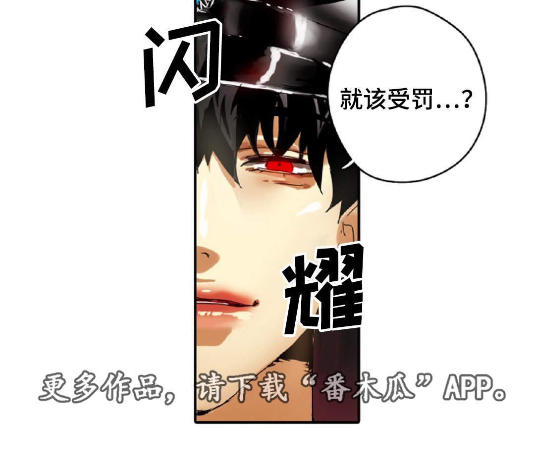 第16章：原则