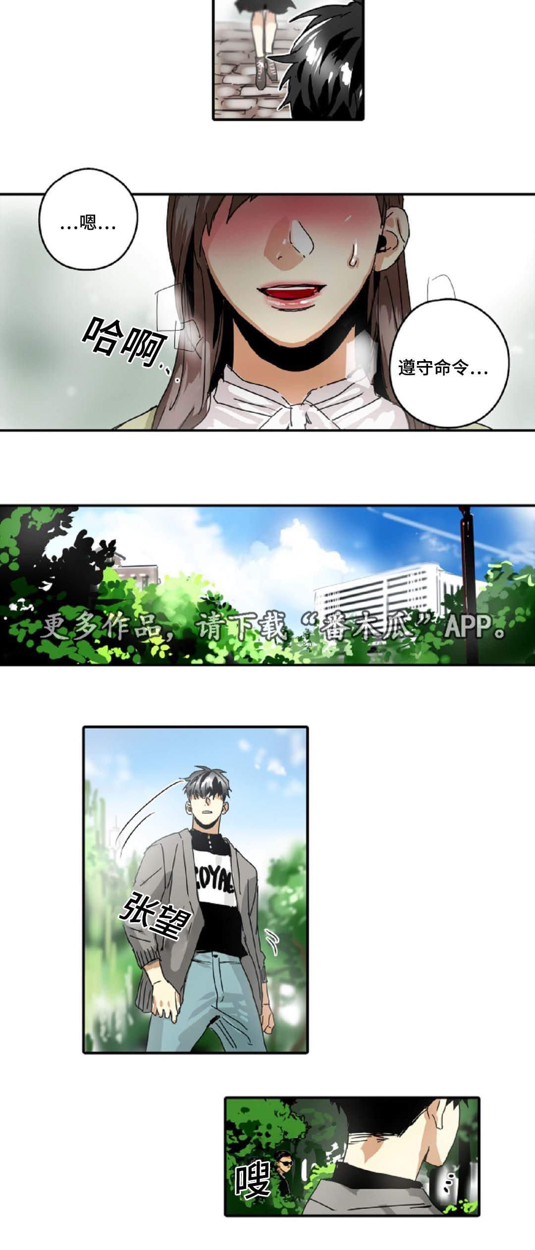 第26章：准守命令