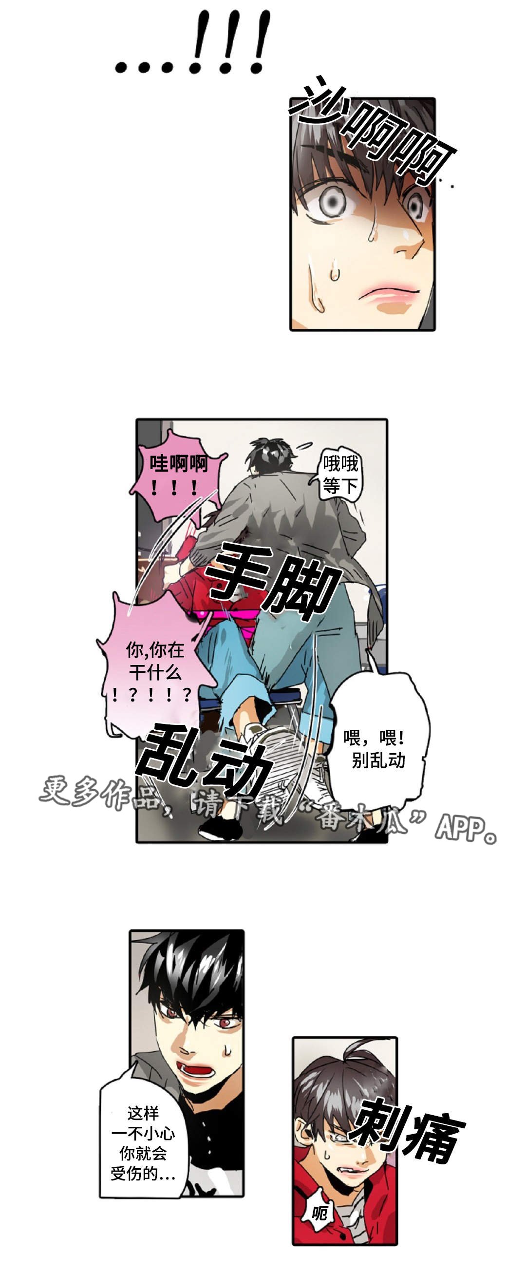 第26章：准守命令