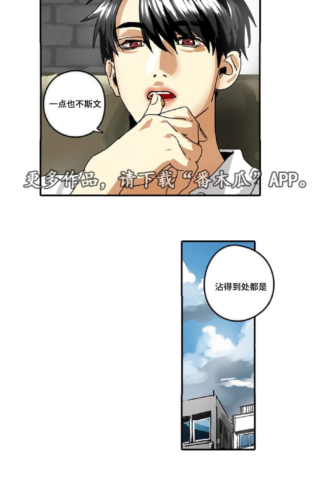第31章：权力的象征