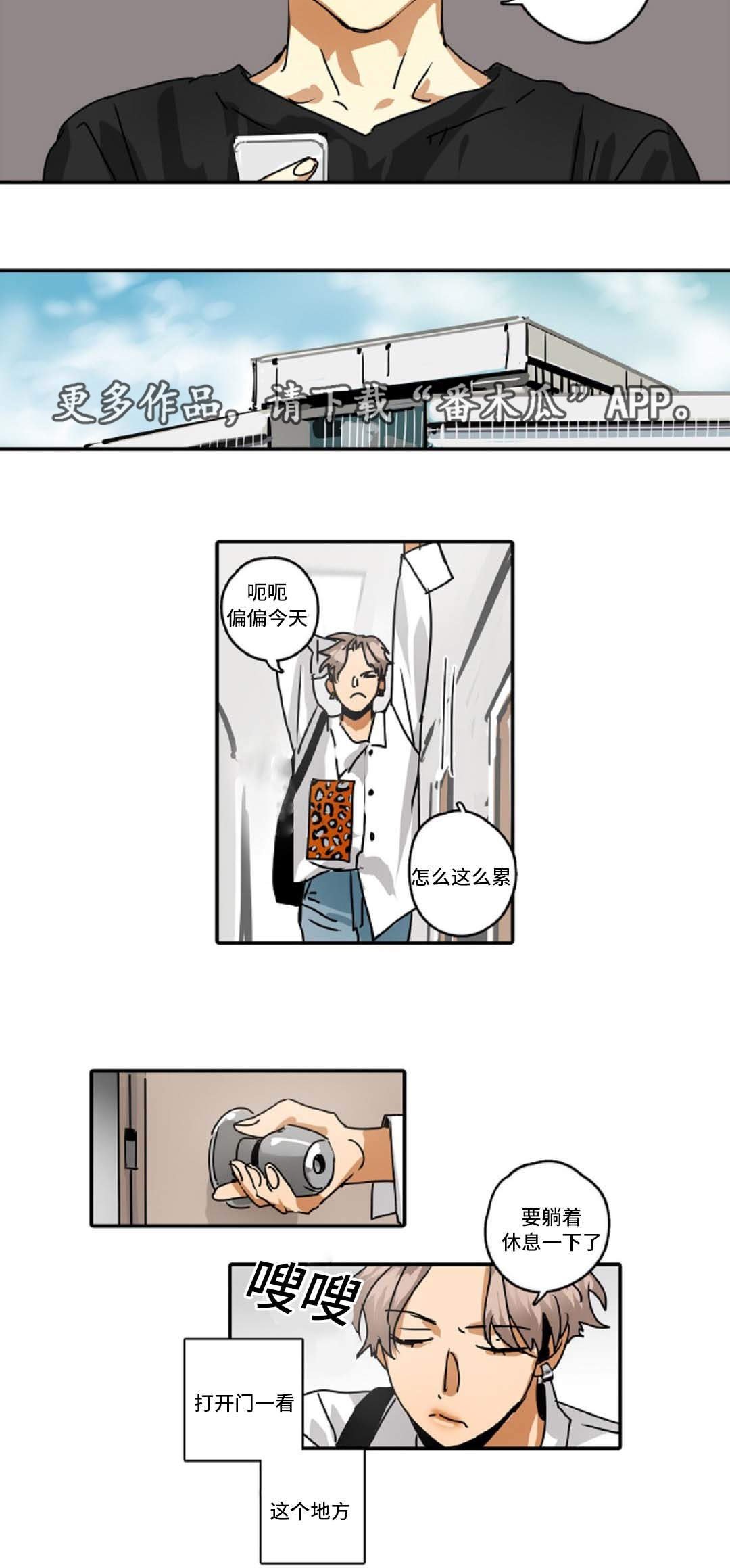 第43章：理想型