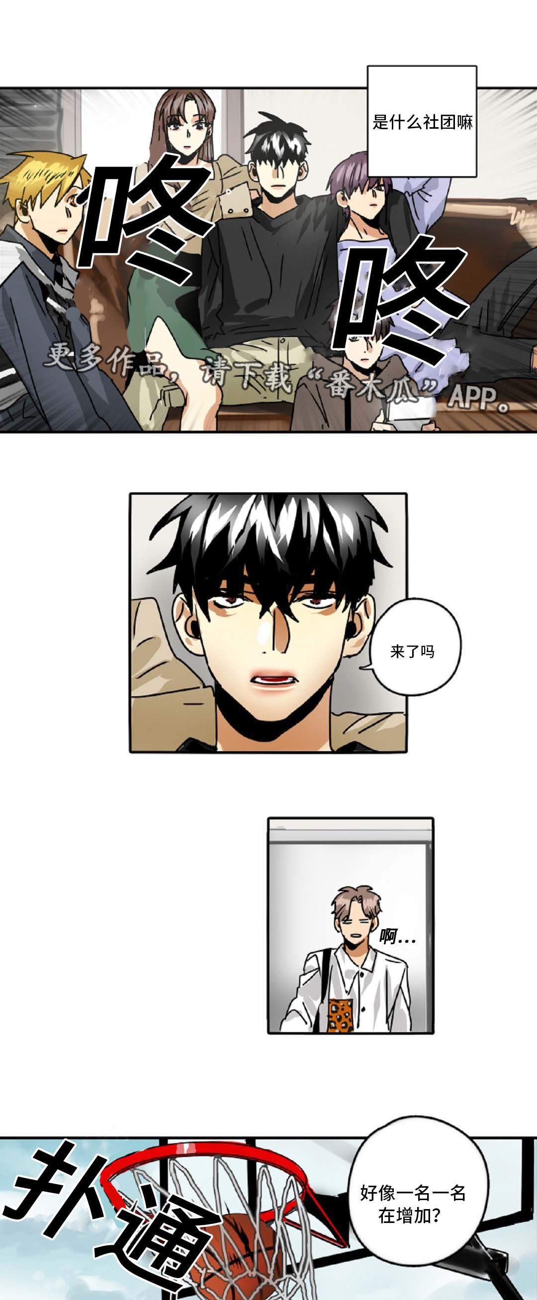 第43章：理想型