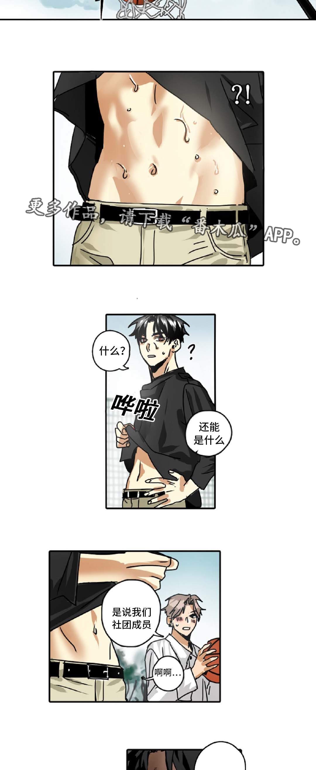 第43章：理想型
