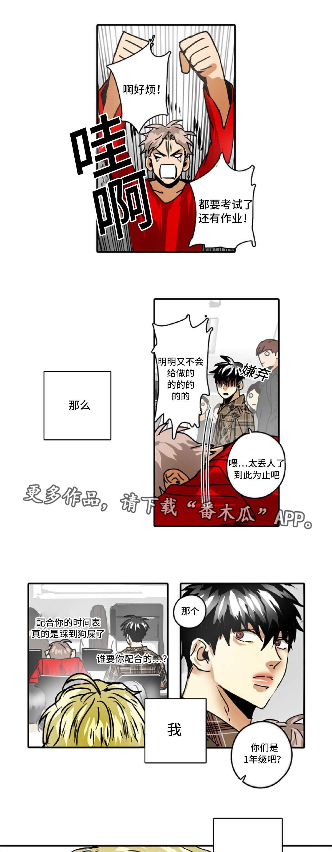 第43章：理想型