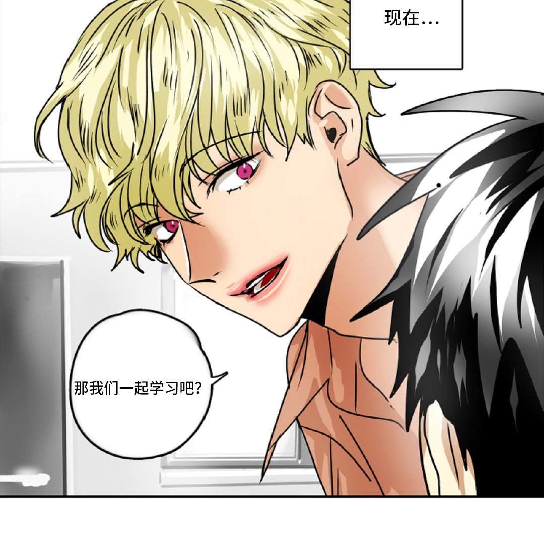 第43章：理想型