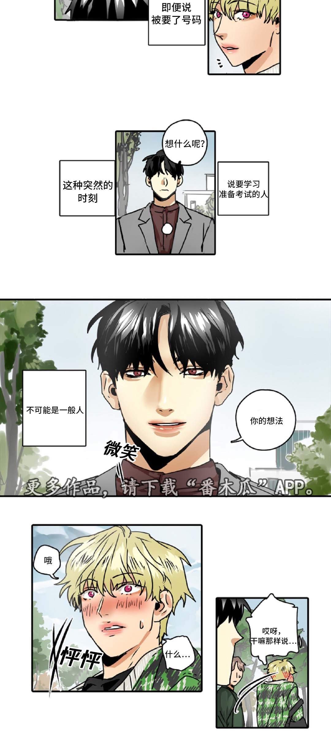 第44章：奇怪的家伙