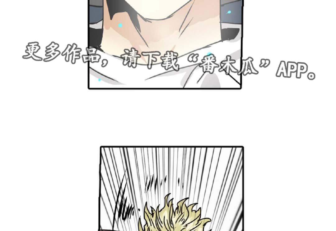 第46章：出事了