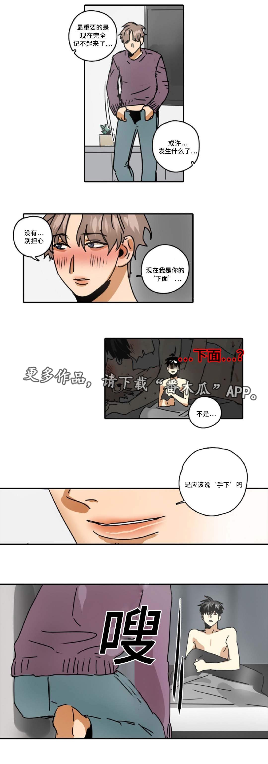 第49章：最终回
