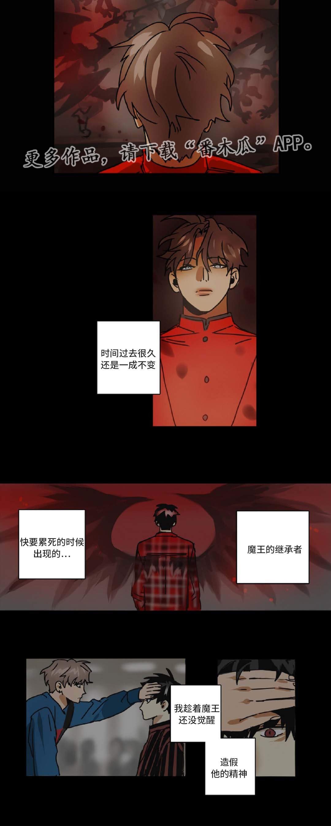 第49章：最终回