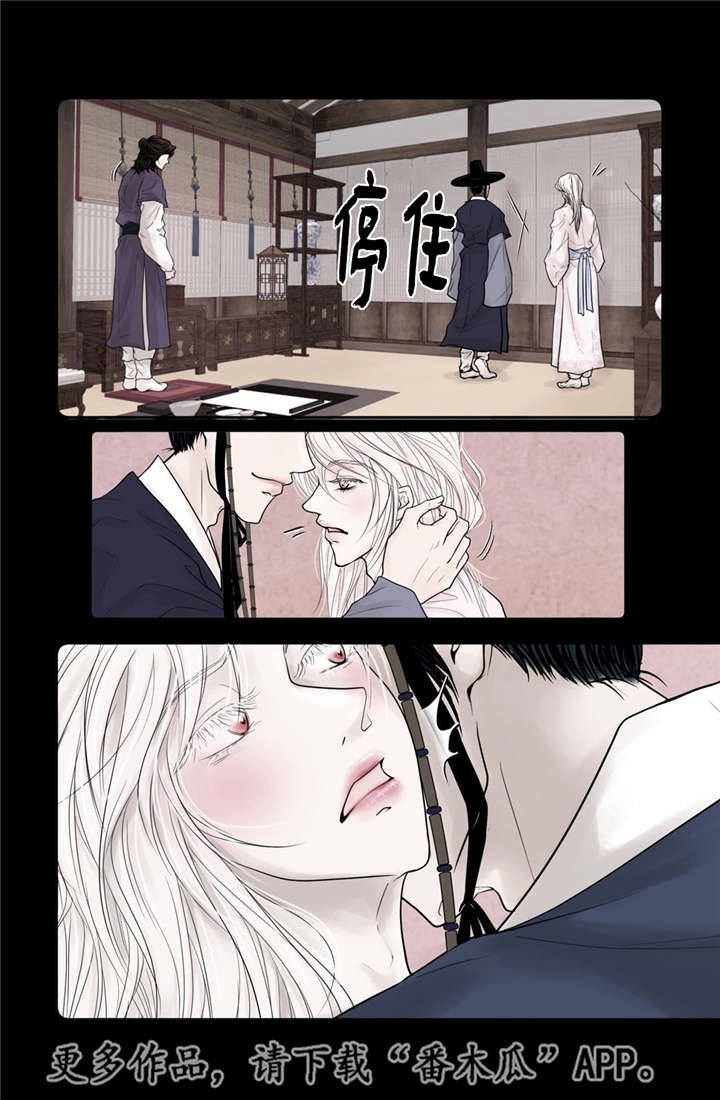 第11章：比较奇特