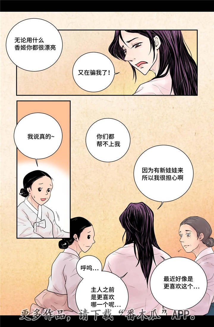 第11章：比较奇特
