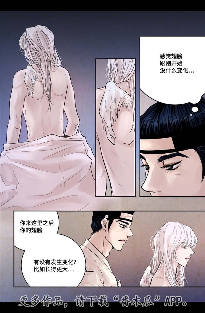 第13章：爱不释手