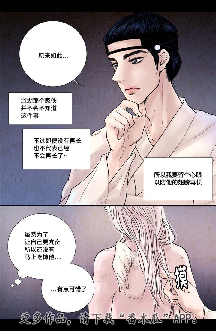 第13章：爱不释手