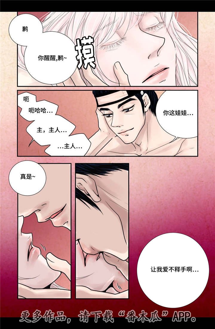第14章：美丽动人
