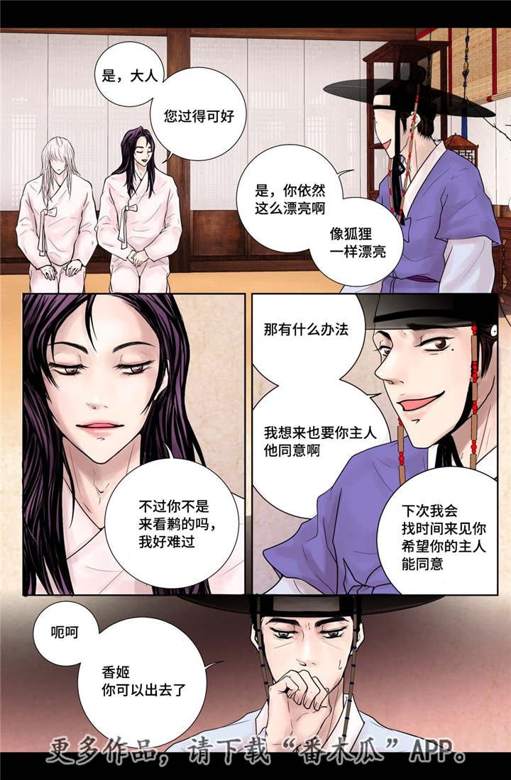 第14章：美丽动人