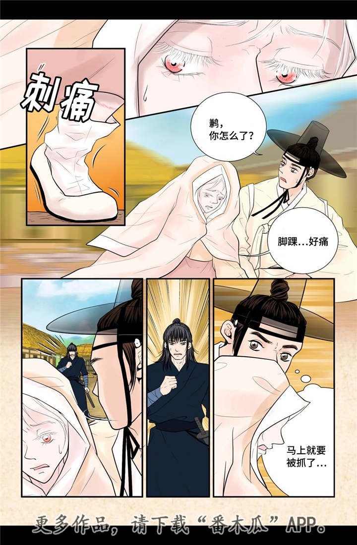 第35章：带来爱情