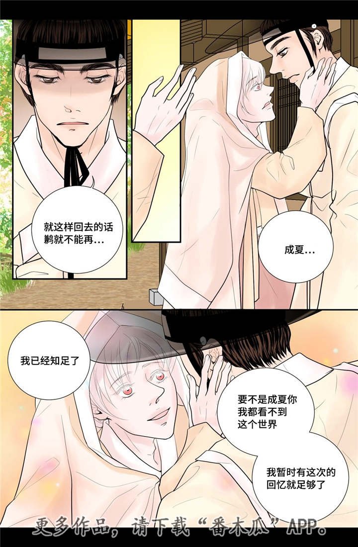 第35章：带来爱情