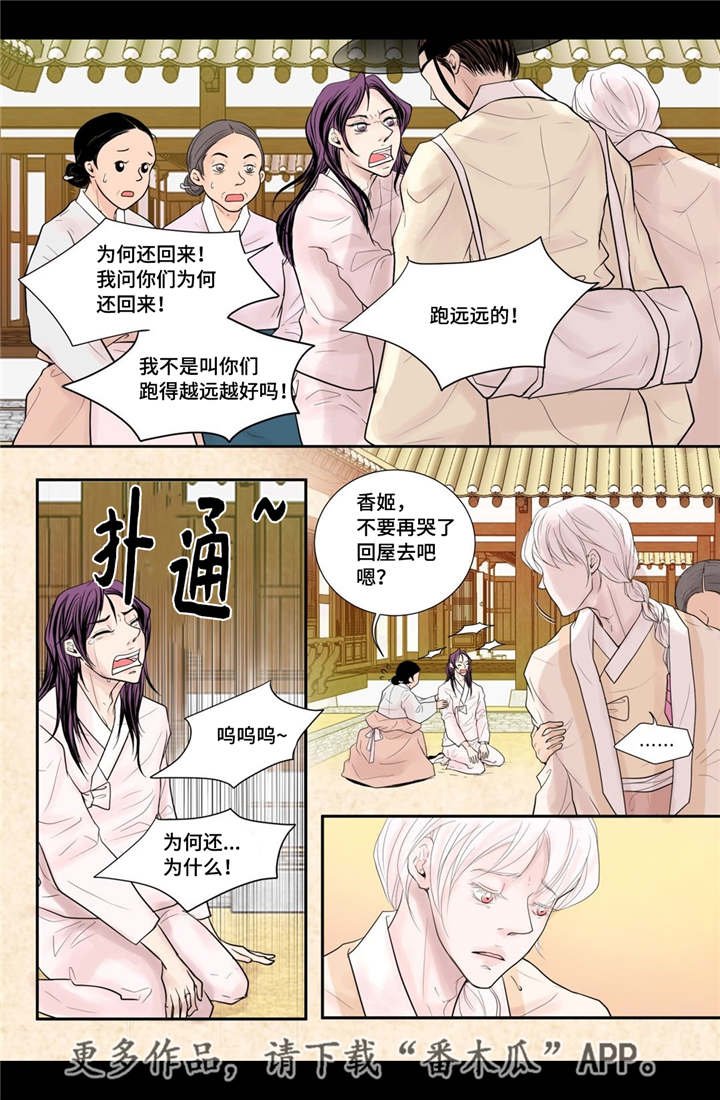 第35章：带来爱情