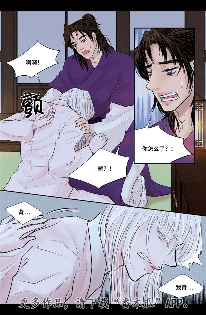 第35章：带来爱情