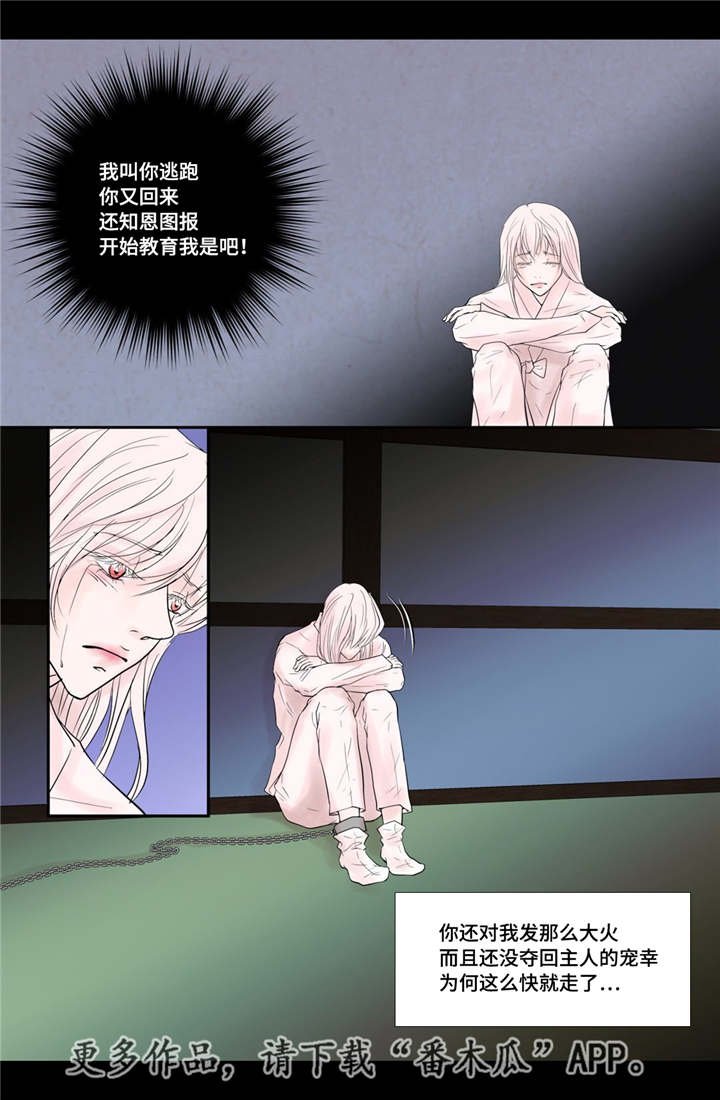第38章：天真的人
