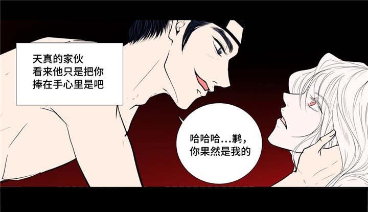 第38章：天真的人