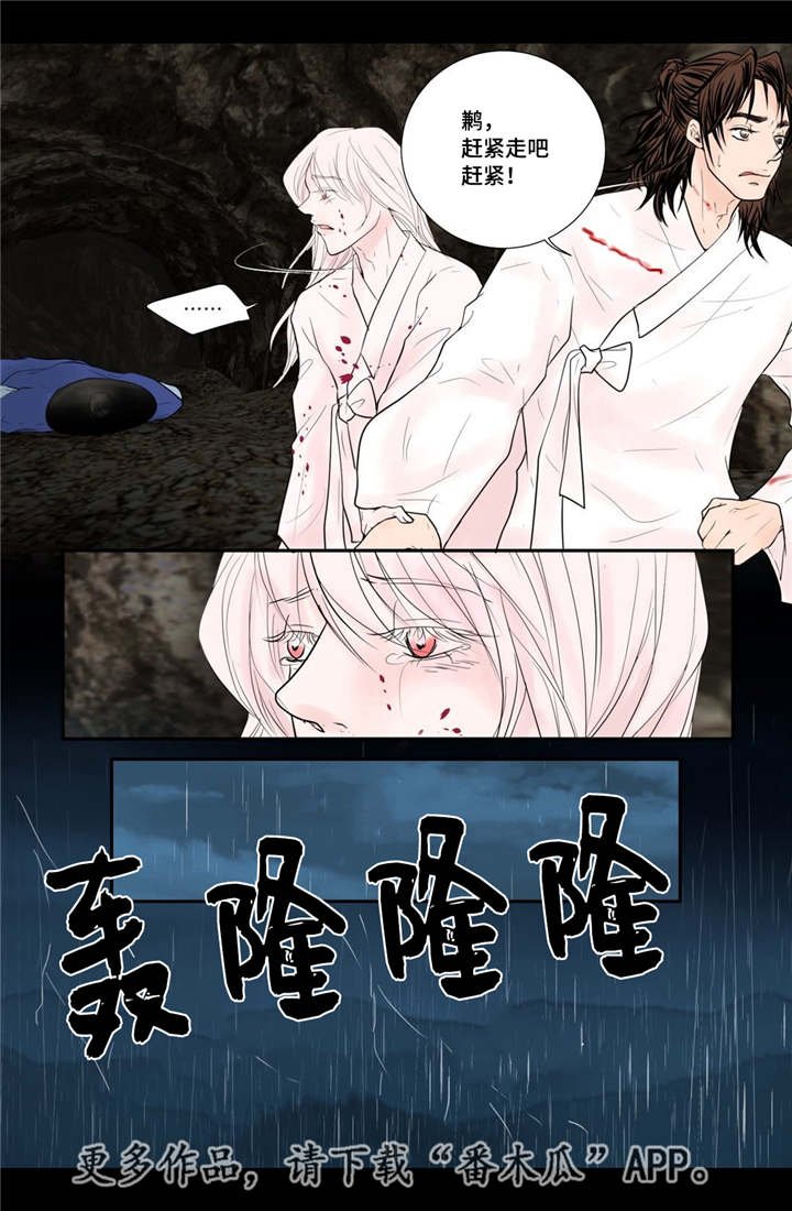 第46章：不能没你