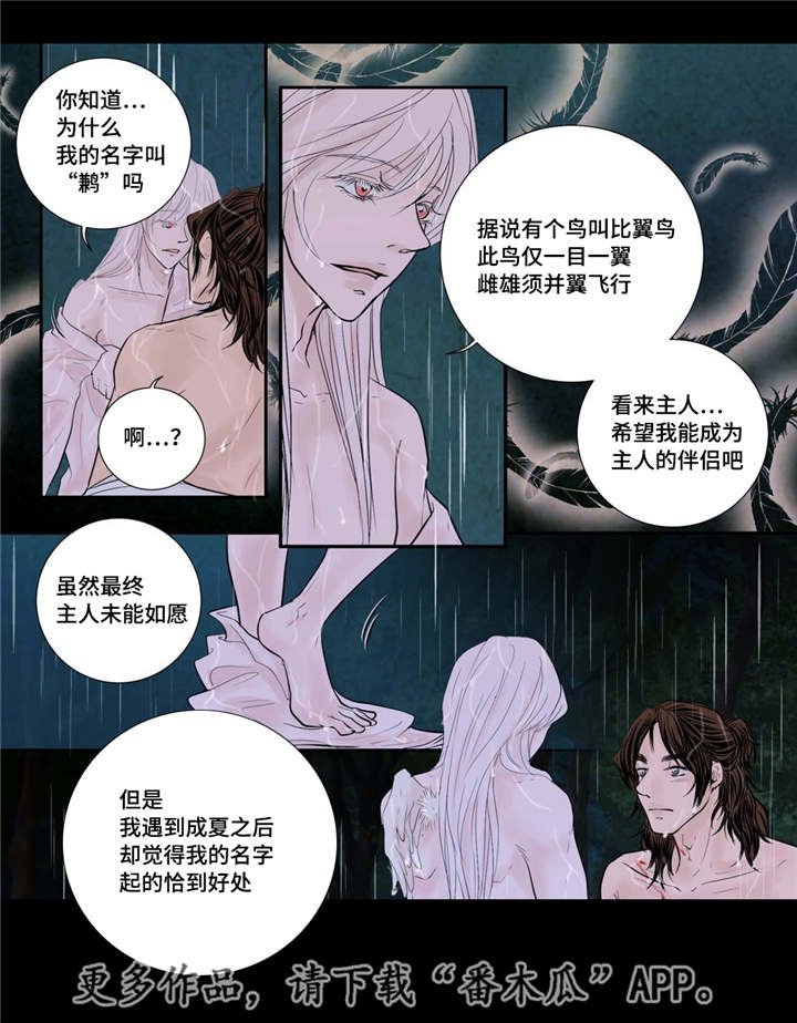 第47章：我的愿望