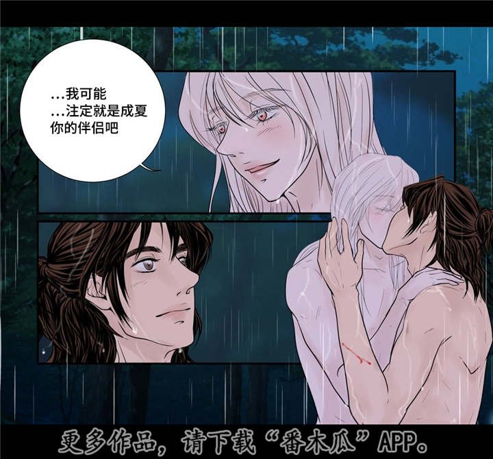 第47章：我的愿望