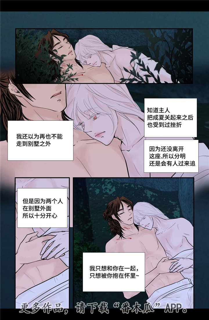 第47章：我的愿望