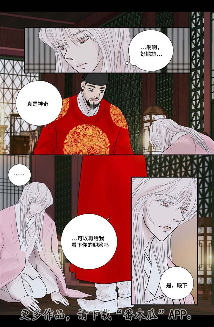 第51章：他的眼光