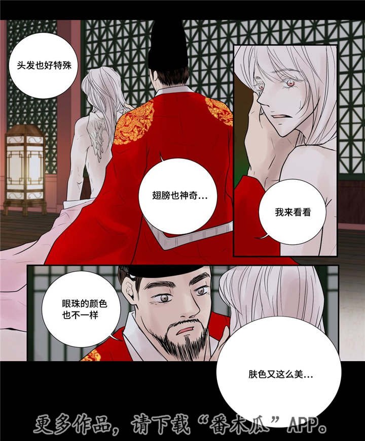 第51章：他的眼光