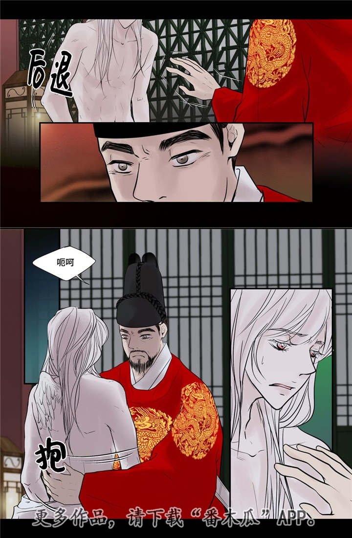 第51章：他的眼光