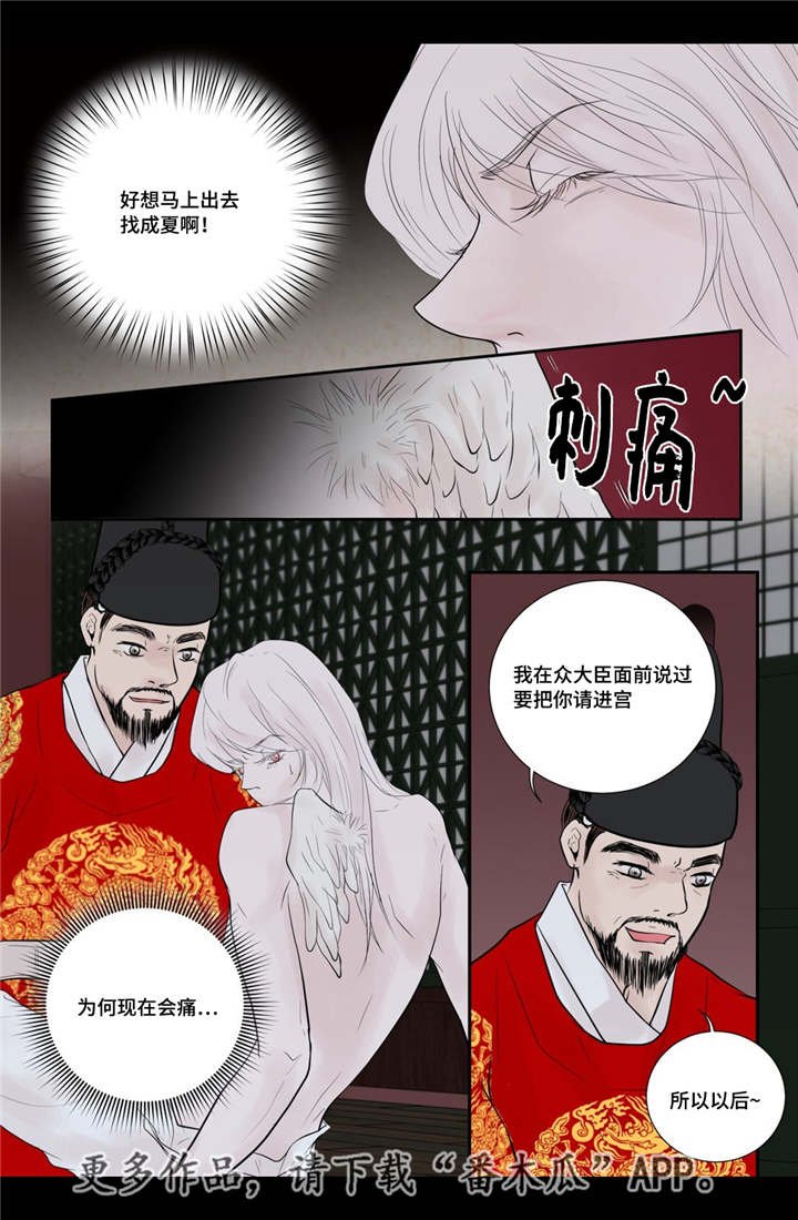 第52章：占为己有